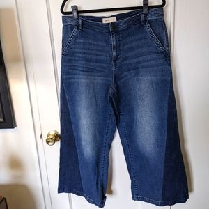 Gap 1969 denim wide leg Capri sz 33